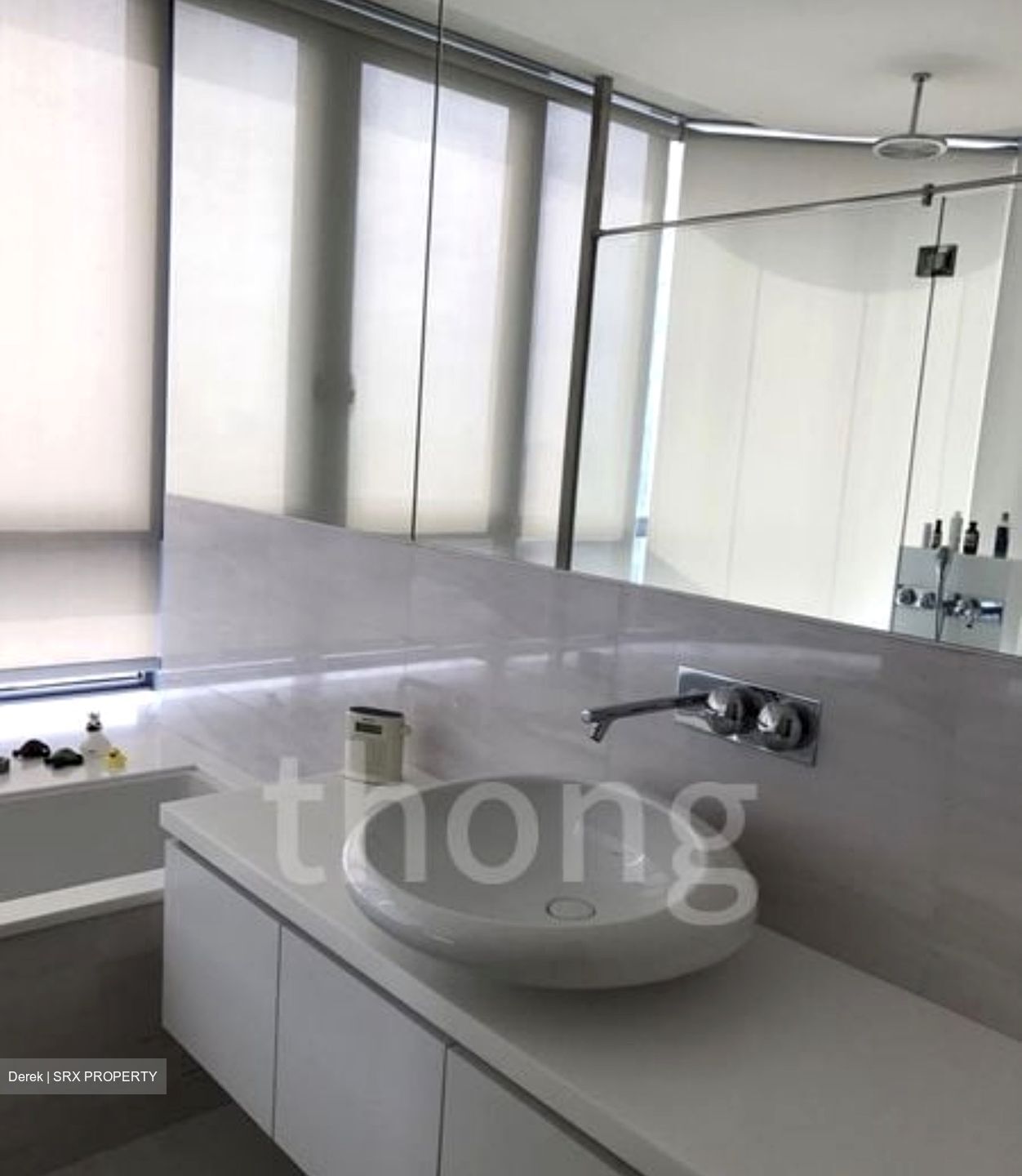 Skyline 360 @ Saint Thomas Walk (D9), Condominium #634639881